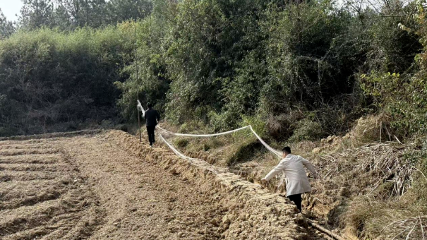 1767450323125029.png image.png